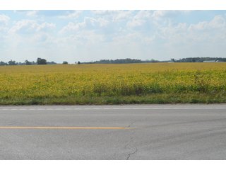 Property photo 51 - REAL ESTATE AUCTION - 604+/- ACRES IN 14 TRACTS IN MERCER CO., OHIO